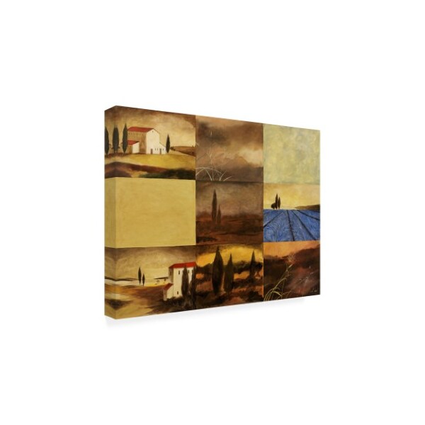 Pablo Esteban 'Tuscan Villa Pattern 2' Canvas Art,18x24